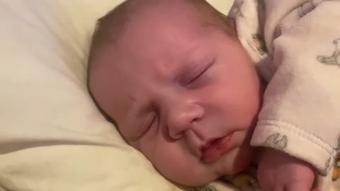 Baby Kayla - All Videos LIVE