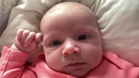 Baby Kayla - All Videos LIVE