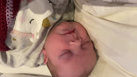 Baby Kayla - All Videos LIVE
