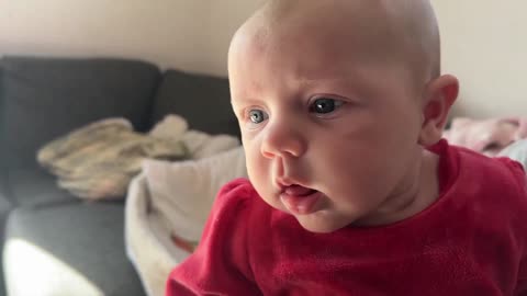 Baby Kayla - All Videos LIVE