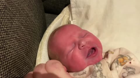 Baby Kayla - All Videos LIVE
