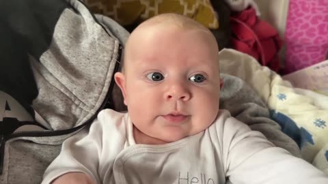 Baby Kayla - All Videos LIVE