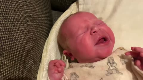 Baby Kayla - All Videos LIVE