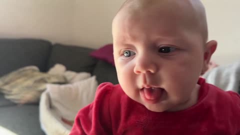 Baby Kayla - All Videos LIVE
