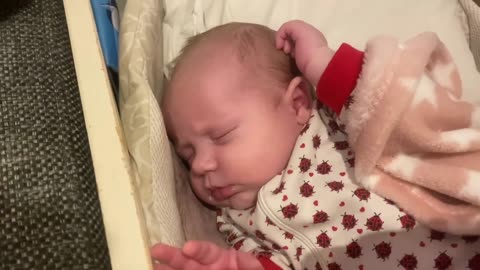 Baby Kayla - All Videos LIVE