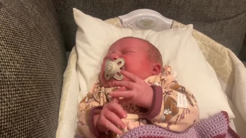 Baby Kayla - All Videos LIVE