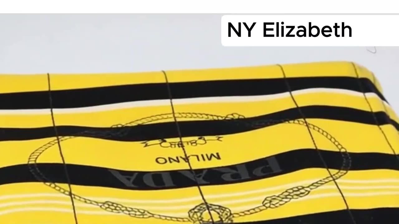 PRADA Kanapa PM Handbag | Bid Now with NY Elizabeth