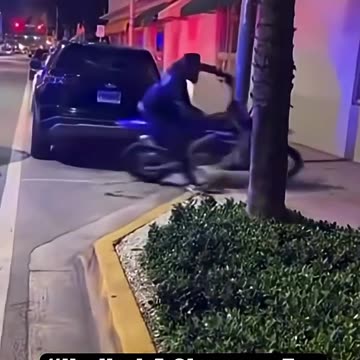 Perfect example of not having a developed frontal lobe