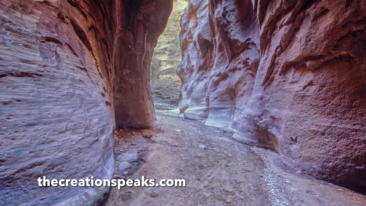 Jesus Said, “I am the Way…”