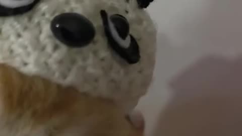 Hand made beanies for the little ones