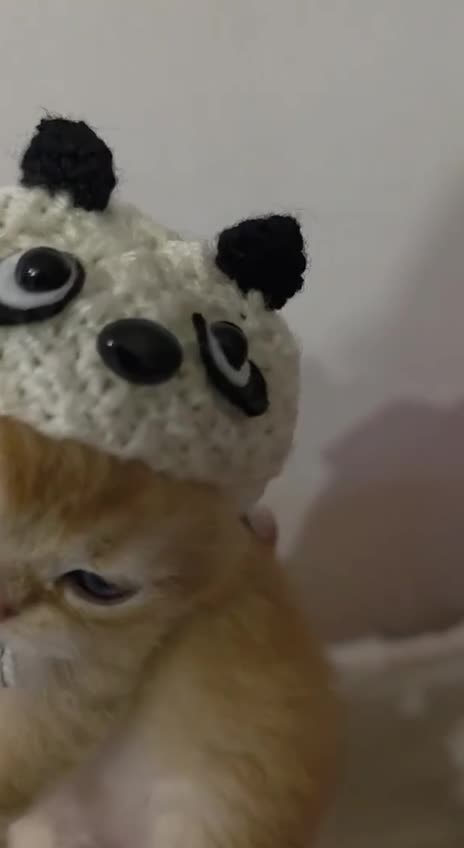 Hand made beanies for the little ones