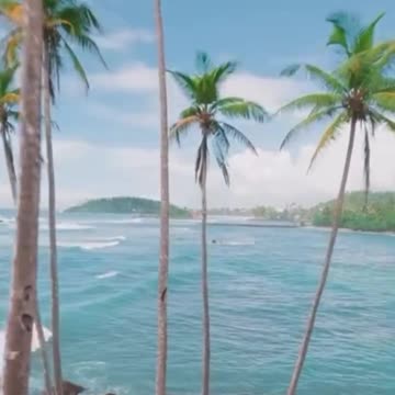 Discover Sri Lanka: Luxury Hotels & Honeymoon Bliss Awaits💛❤🌴✨