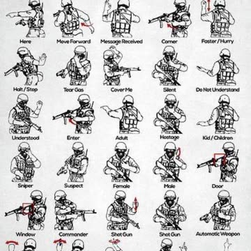 Hand and Arm Signals