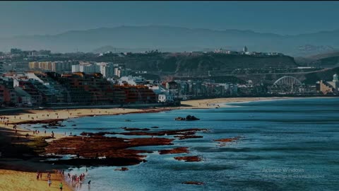 High-Definition Wildlife Encounters – 8K HDR 60FPS Nature Showcase