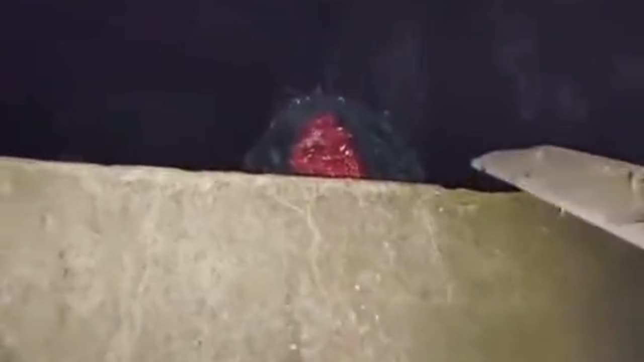 😱👻 What the Hell is This Ghost? | TheHauntingHour