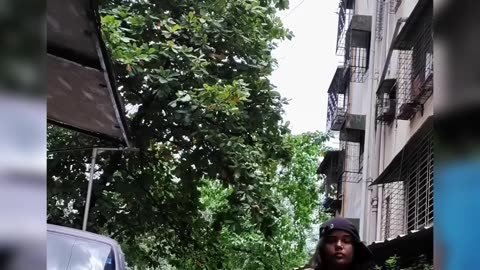 Queen of Dark humour #shorts #ytshorts #viralshort