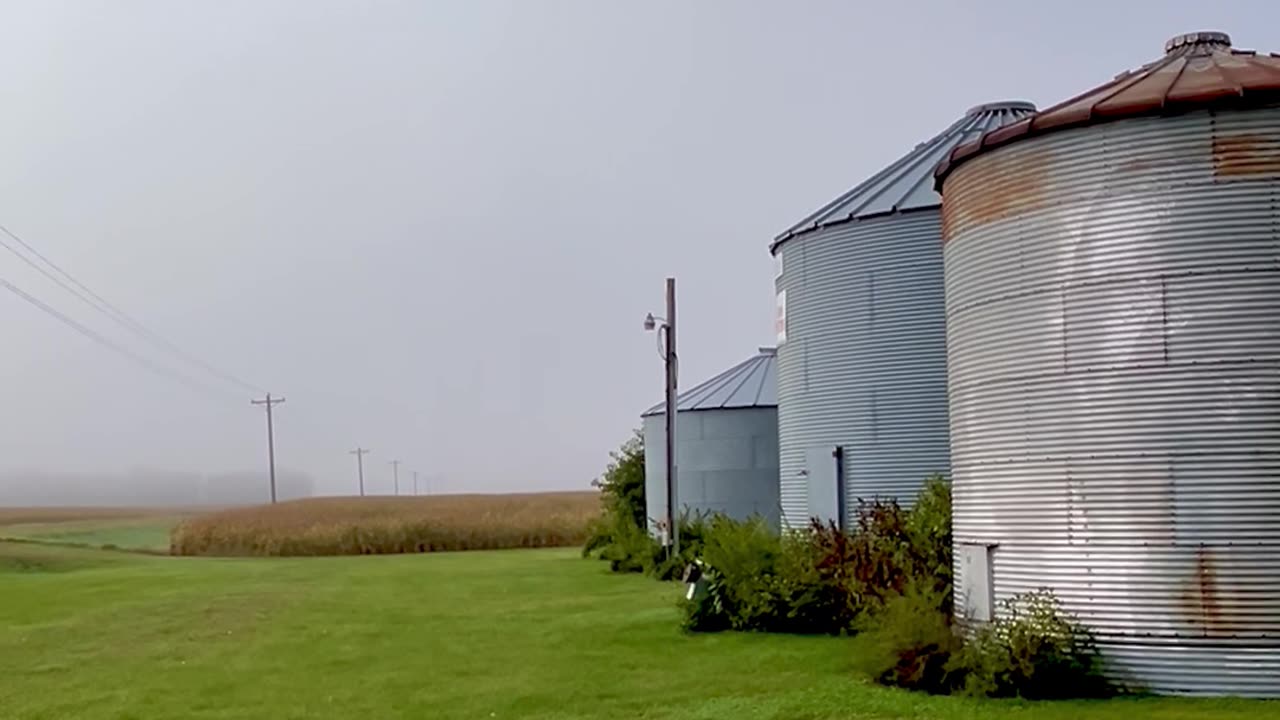 Foggy Misty Morning