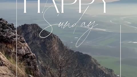 Happy Sunday guys