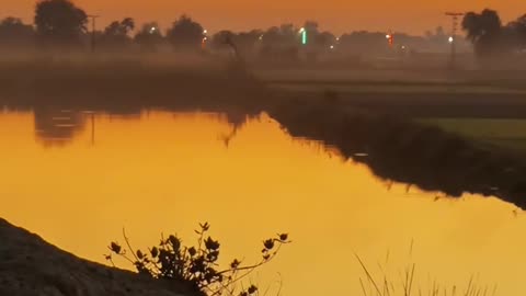 After Sunset My Village #maxrecords #villagelife #larkana #sindh #pakistan