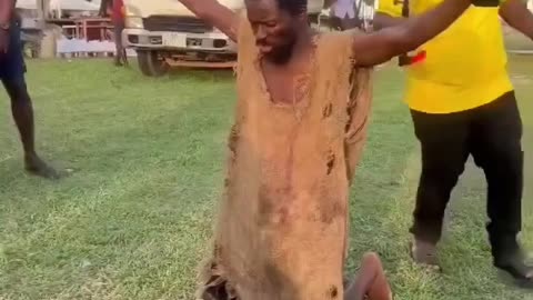 Noe Moderno Profecta