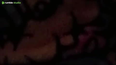 until they try to silence you you don't know