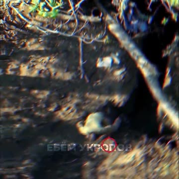 Ukriane war combat footage 8/21/25