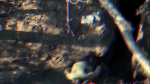 Ukriane war combat footage 8/21/25