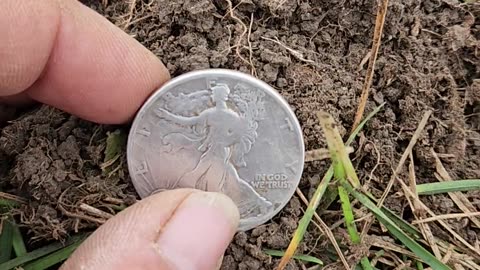 Silver walking liberty