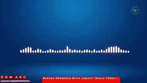 Qophii Adda ONM-ABO Caamsaa 13-2025 itti dhiyaadhaa!