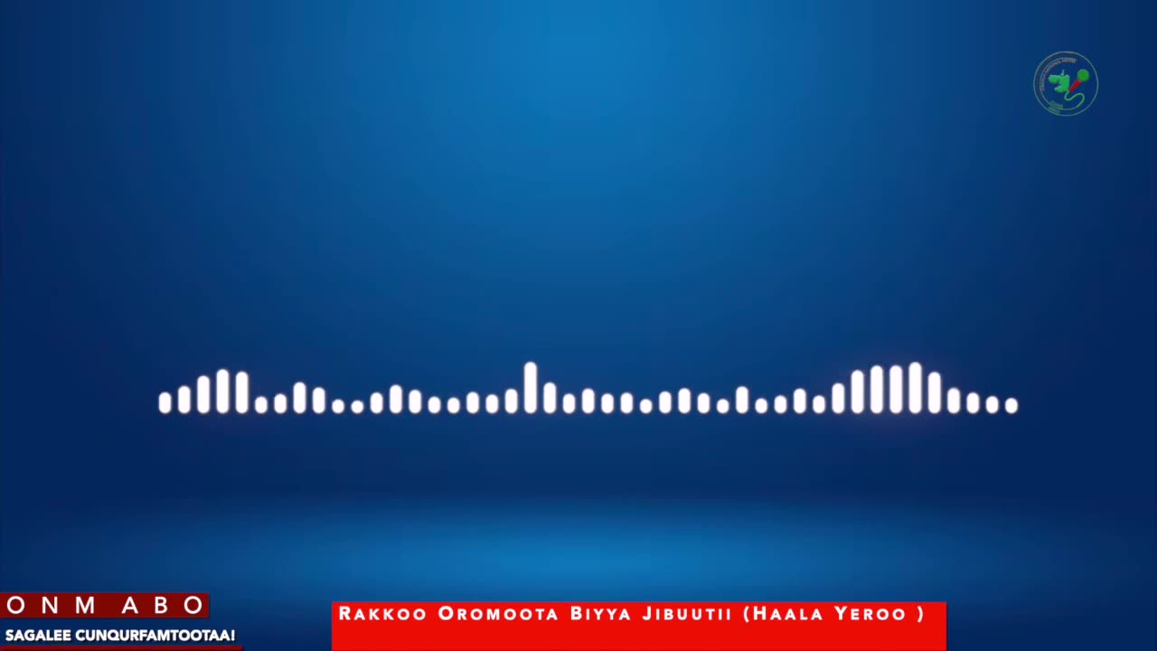 Qophii Adda ONM-ABO Caamsaa 13-2025 itti dhiyaadhaa!