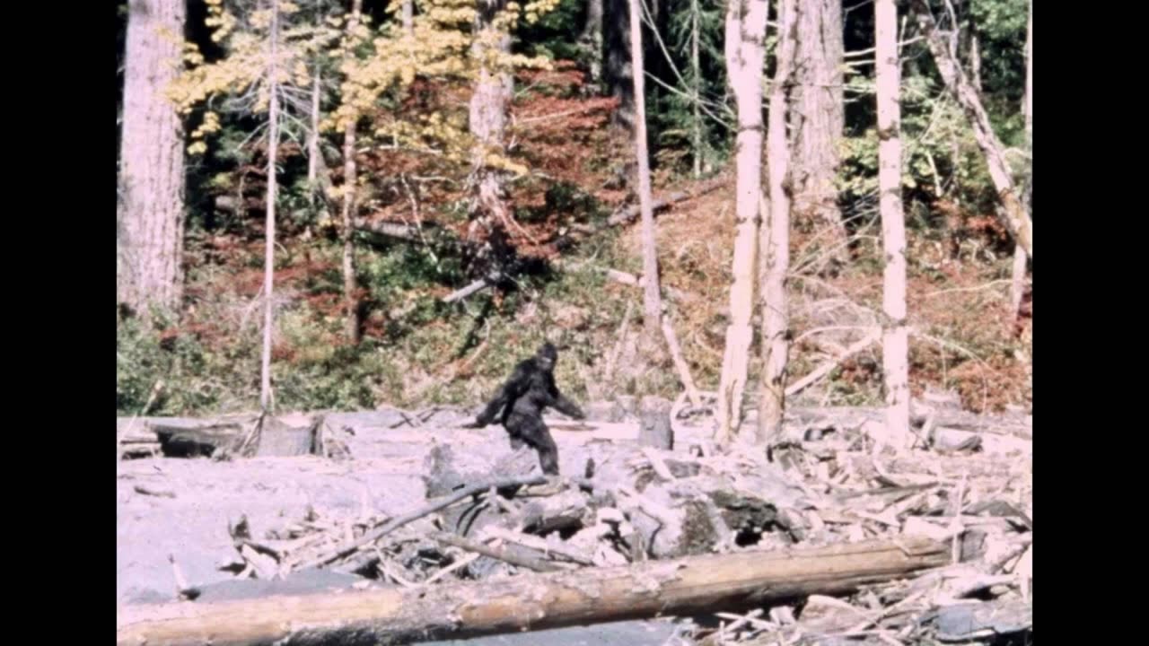 Footprints in the Snow