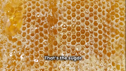 Honeycomb Candy Combustion 🍯🔥 | FlavorVille Food Science Chaos