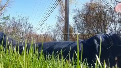 Terrifying Moment for Biker Caught on Video
