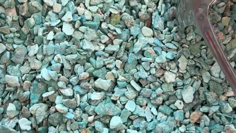 250605-13 Turquoise Rough: Deep-Sea Treasures Hidden in Stone