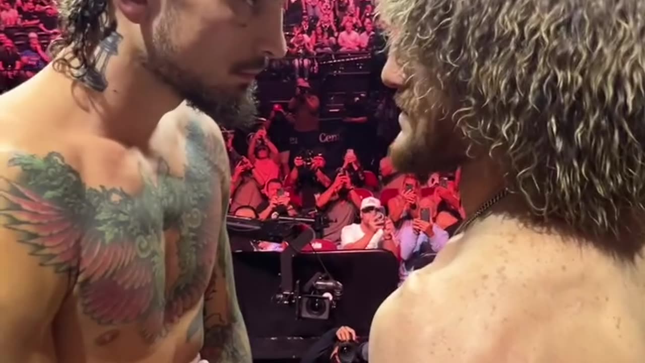 Merab Dvalishvili vs. Sean O’Malley 2: UFC 316 Face-off