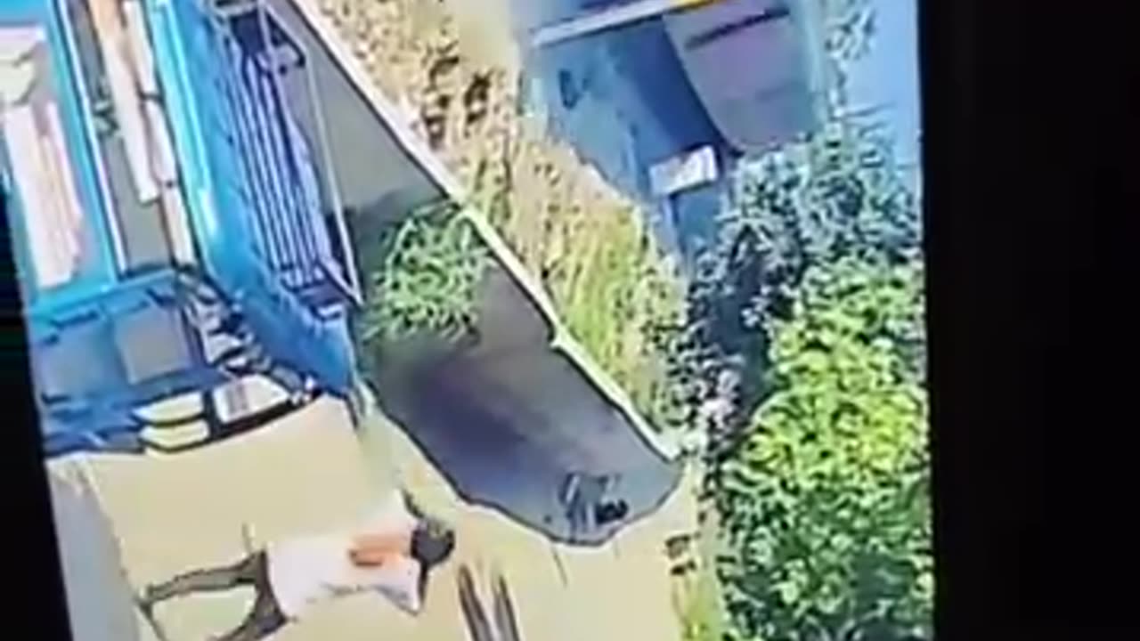 Train Accident