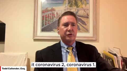 Attorney Todd Callender describes how the BIS is at the top of the global governance hierarchy.