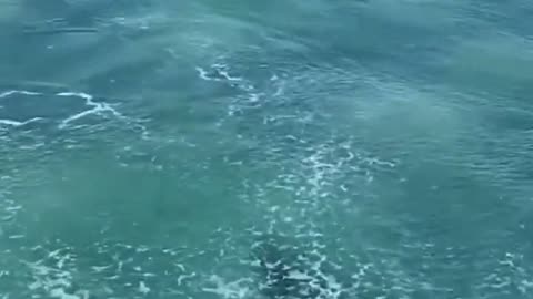 Drone operator freaks, gets close to surfer and bobs up & down