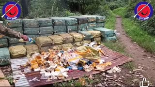 🔥🌿 Myanmar War | CDF-Hakha Burns Drugs Seized from PDF Forces | RCF