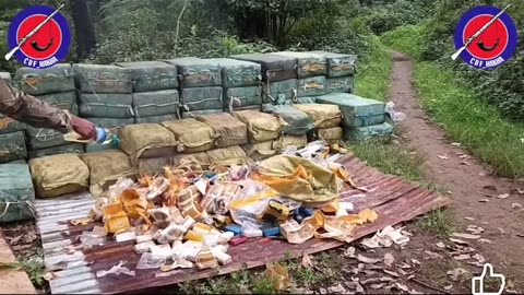 🔥🌿 Myanmar War | CDF-Hakha Burns Drugs Seized from PDF Forces | RCF