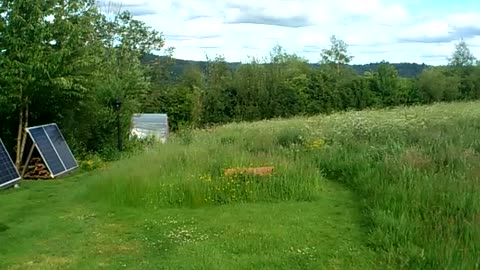 ....Garden Update 28/05/25....