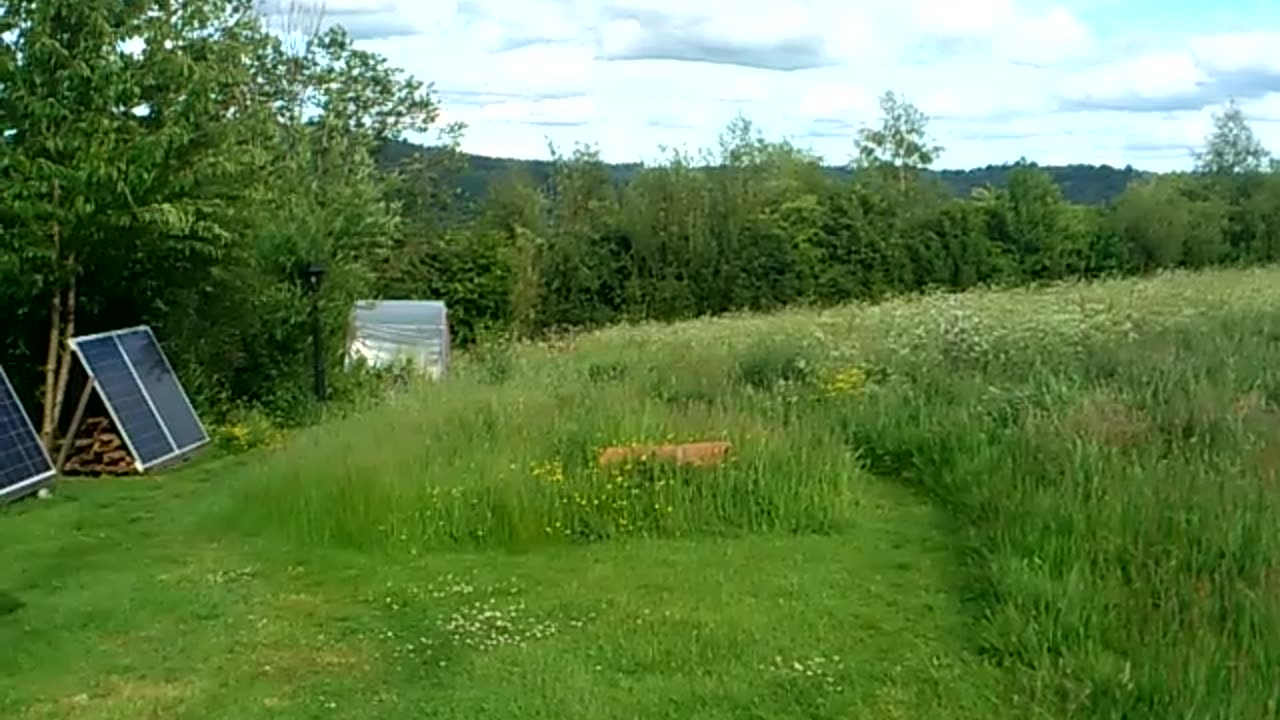 ....Garden Update 28/05/25....