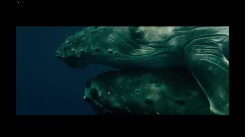 Don't Look Up 2021 Ending scene The Comet Destroys Earth