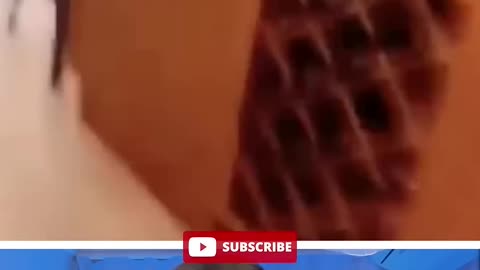 Try not to laugh#2