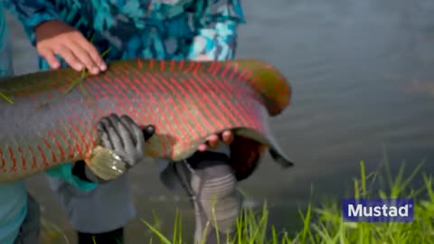 We Caught the Florida Pond Monster_part1