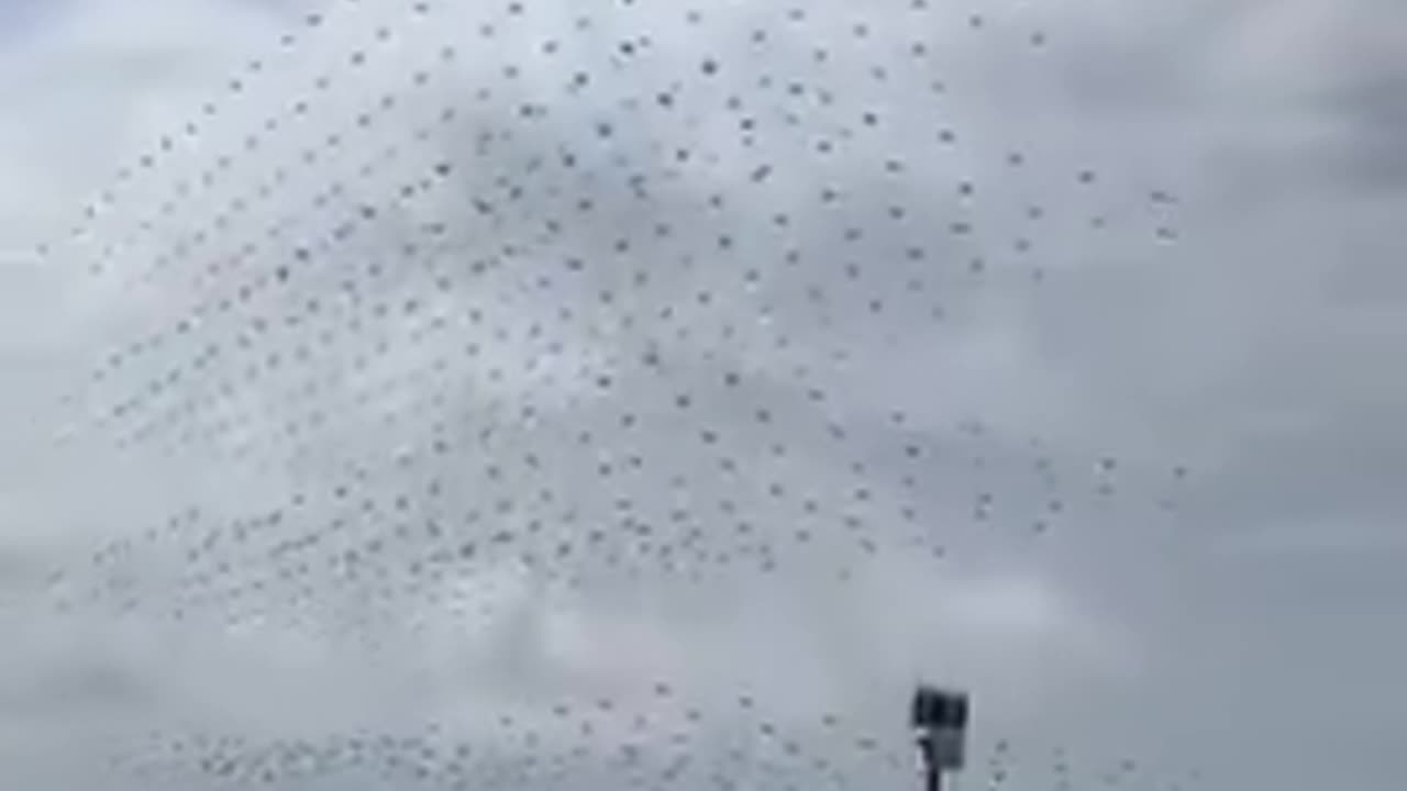 Chinese Drone Swarm (Imagine if they were armed.)