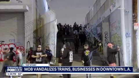 Mob of youth vandalize trains in LA 🐒🐒🐒💩💩💩🐒🐒🐒