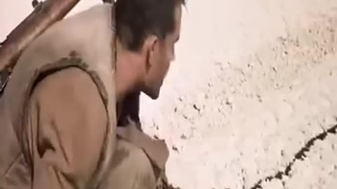The Scene Everyone Is Talking About Scene of the Day