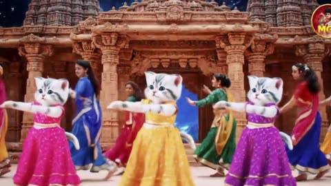 Cutest Cat videos funny dance Videos for cats