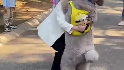 Giant Poodle Afraid of Little Teddy😂😂😂#funnydogs #shorts